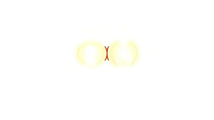 BUST_TO_BUST_-胸歸胸乳歸乳-_1